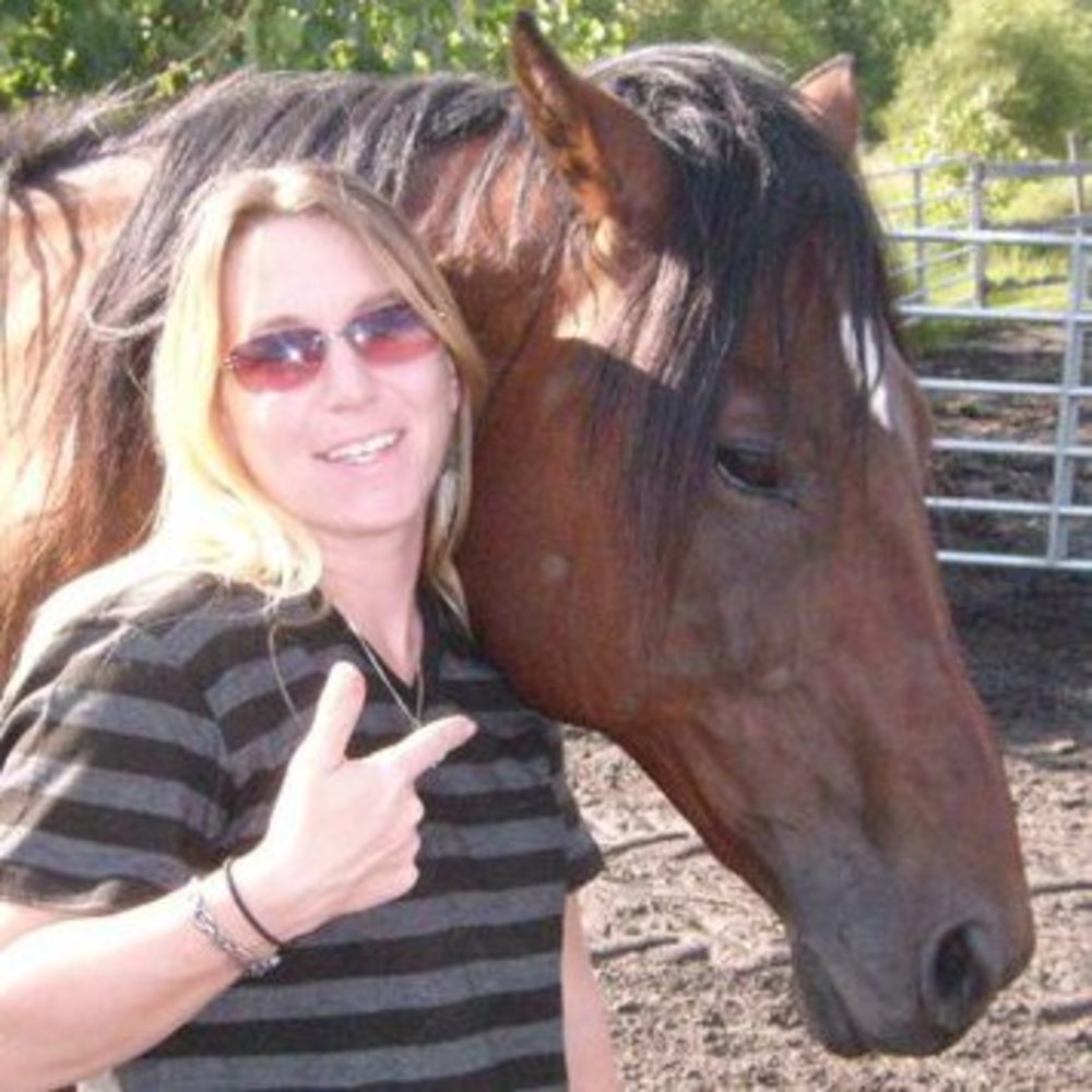 Meet your Posher, Dawn